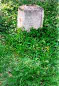 waldfriedhof3.jpg